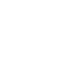 WorkFlow Logo